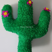 Pinata Cactus